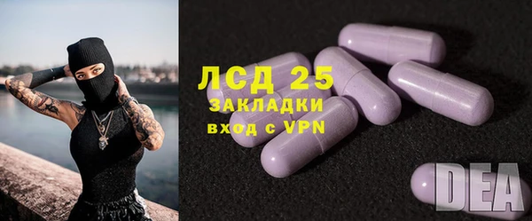 прущие грибы Баксан