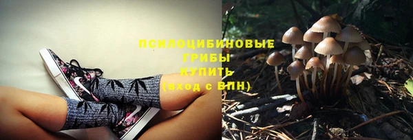 ГАЛЛЮЦИНОГЕННЫЕ ГРИБЫ Братск