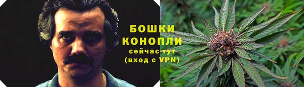 ГАЛЛЮЦИНОГЕННЫЕ ГРИБЫ Братск