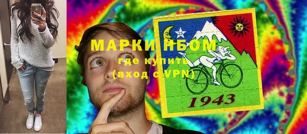 прущие грибы Баксан