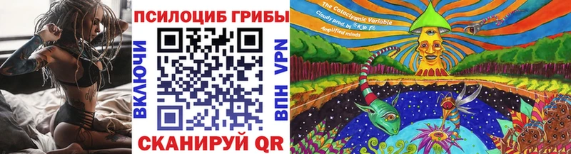 Купить  Асбест  Псилоцибиновые грибы мицелий 