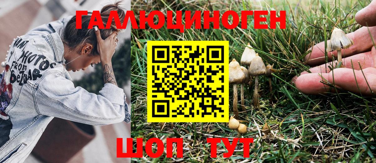 Псилоцибиновые грибы GOLDEN TEACHER Асбест
