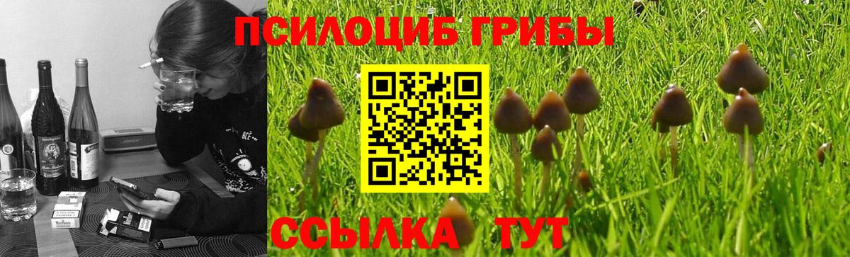 Асбест  Псилоцибиновые грибы Cubensis  Вход с VPN  купить наркотик  Псилоцибиновые грибы MAGIC MUSHROOMS 